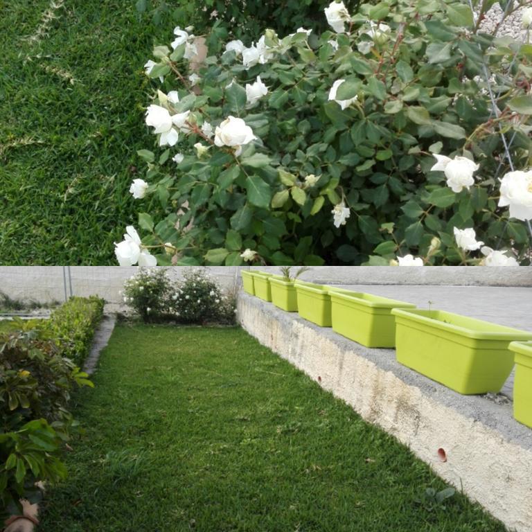La Casa Delle Farfalle Bed and Breakfast Syracuse Buitenkant foto